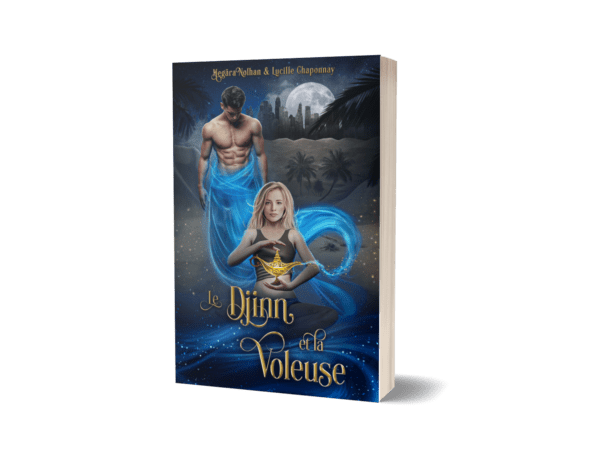 Le Djinn et la Voleuse