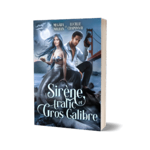 Sirène, trafic et gros calibre