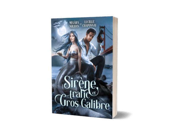 Sirène, trafic et gros calibre